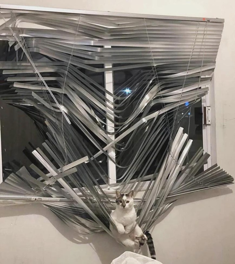 A cat sitting in some completely destroyed venetian blinds