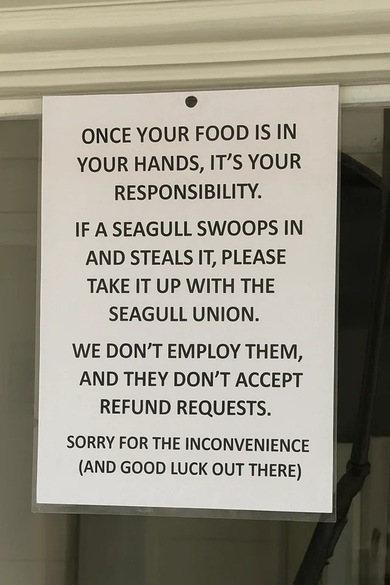 
ONCE YOUR FOOD IS IN YOUR HANDS, IT'S YOUR
RESPONSIBILITY.
IF A SEAGULL SWOOPS IN AND STEALS IT, PLEASE
TAKE IT UP WITH THE
SEAGULL UNION.
WE DON'T EMPLOY THEM, AND THEY DON'T ACCEPT
REFUND REQUESTS.
SORRY FOR THE INCONVENIENCE (AND GOOD LUCK OUT THERE)
