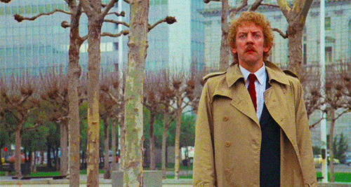 Donald Sutherland pointing ominously in the Invasion of the Body Snatchers