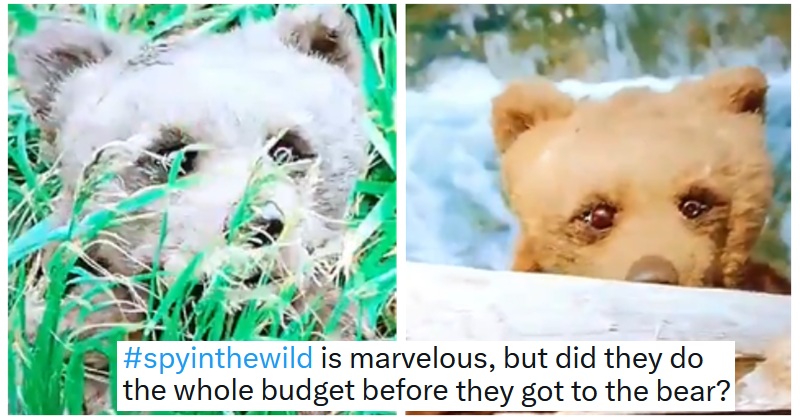 The BBC’s Spy in the Wild animatronic bear may still be one of the funniest things they’ve ever broadcast – even though it wasn’t supposed to be