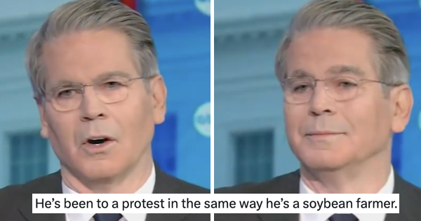 Trump's Treasury secretary appeared to suggest the second amendment doesn't count at protests and ended up brutally owned