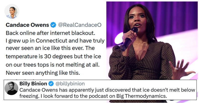 A right-wing conspiracy theorist just got cold egg all over her face by being alarmed at ice not melting at 30 degrees Fahrenheit - 17 chillingly good takedowns