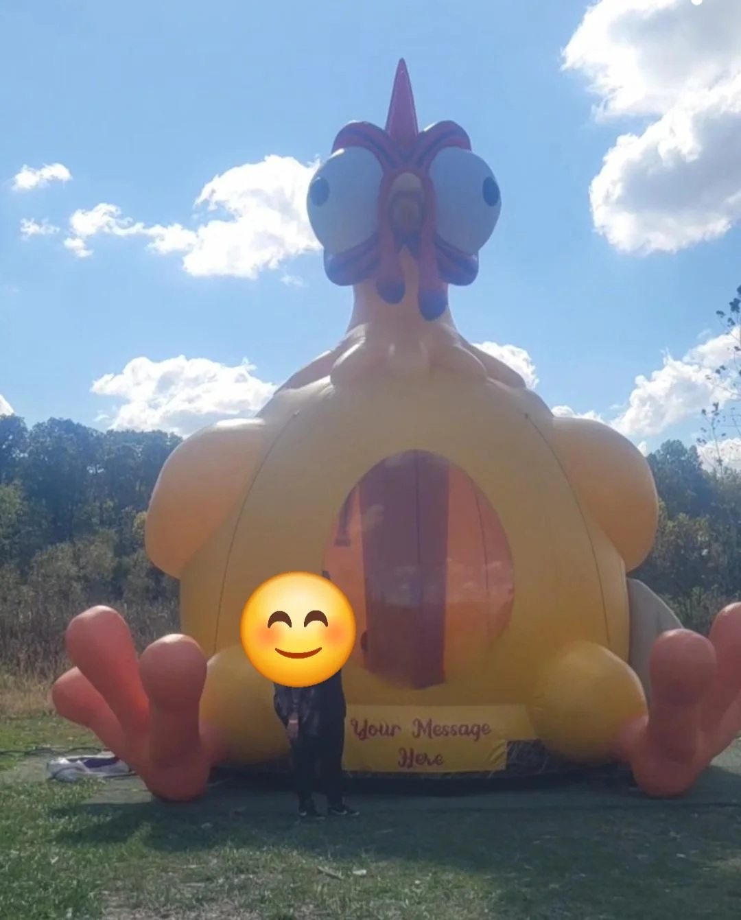 A chicken-shaped bouncy castle, printed with "Your message here"