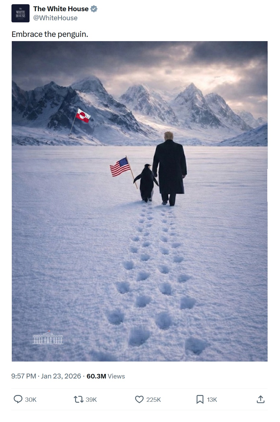 Embrace the penguin.

With Trump walking into a snowy, mountainous landscape, alongside a penguin that's holding a US flag. The Greenland flag can be seen near the mountains.