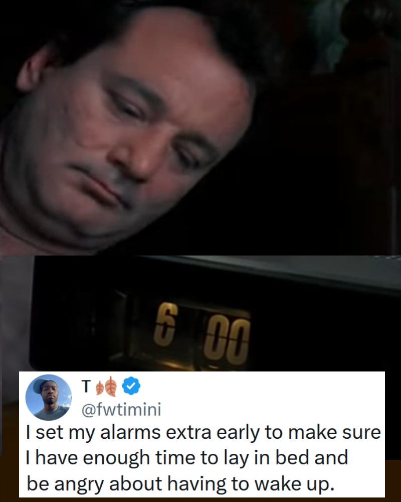 Our 25 Favourite Funny Tweets of the Week