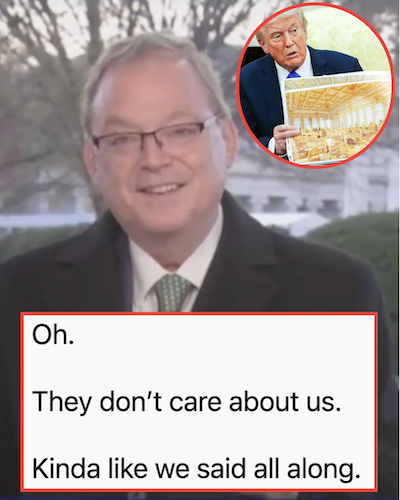 This Trump economic advisor said American consumers were 'the last' of the White House concerns and he didn't just not read the room, he was in a different building