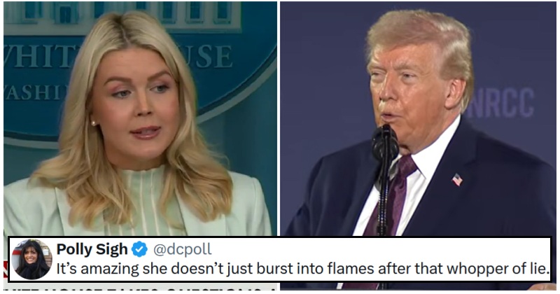 Karoline Leavitt said “If you heard it from the president …obviously it’s true”, and the chinny reckon was visible from the Kremlin – 18 frank fact-checks