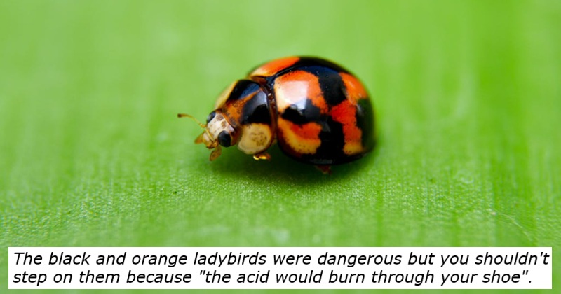 ‘What are your most memorable pre-internet playground urban myths?’ – 28 crazy rumours that can’t be blamed on Facebook