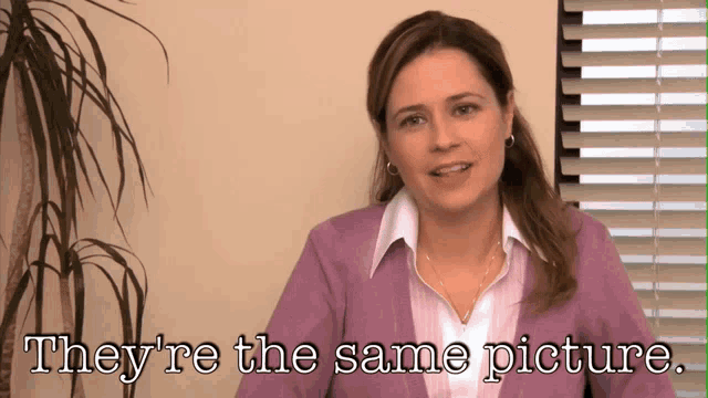 Pam from the Office saying "They're the same picture"