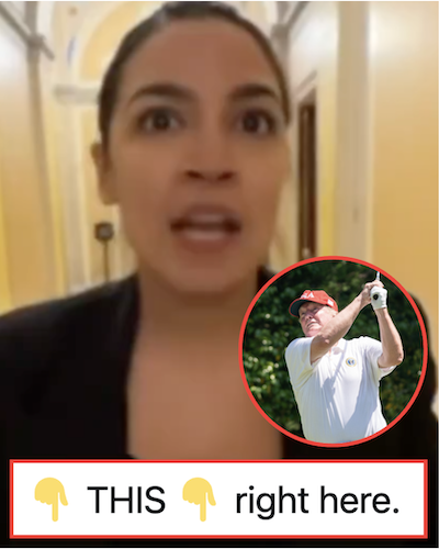 Alexandria Ocasio-Cortez had the perfect one-two response to all the time Donald Trump spends golfing and the Maga fury it prompted only made it better