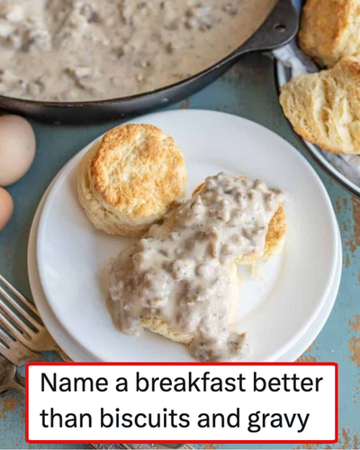 An American ‘pleaser of the palate’ challenged people to name a better breakfast and these Brits were only too eager to oblige