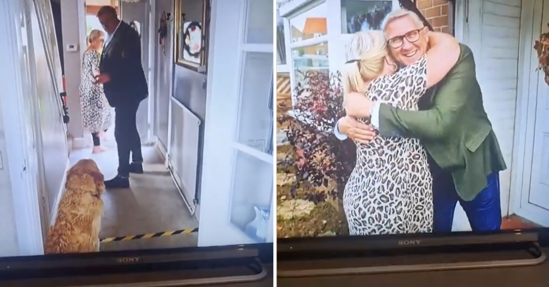 The impeccable coming timing of this dog behaving (very) badly will never cease to make our day better