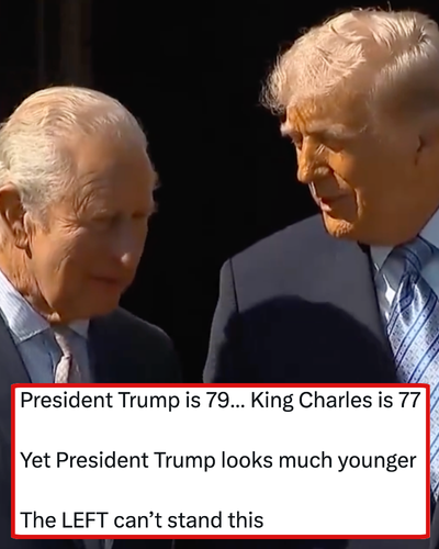 A rampant Maga said 'the left' can't stand the fact that Donald Trump 'looks younger' than King Charles and was owned into next year