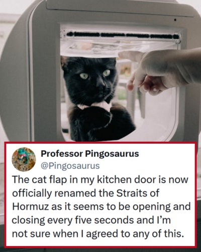 Our 25 Favourite Funny Tweets of the Week