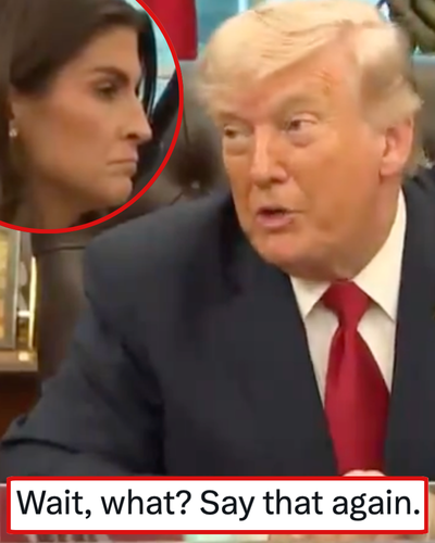Donald Trump thought he was being oh so clever with this woman reporter and ended up kicking himself in the face