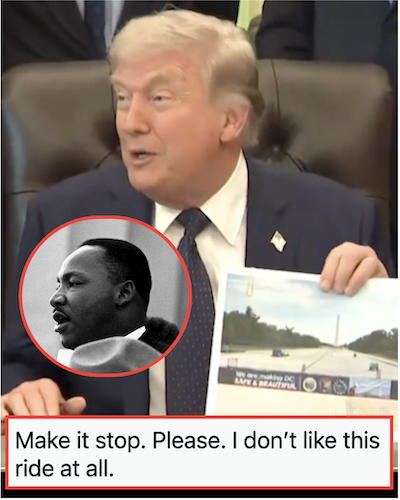 Donald Trump says he draws bigger crowds than Martin Luther King, Jr. and nobody in the room corrected him - but these 17 replies did
