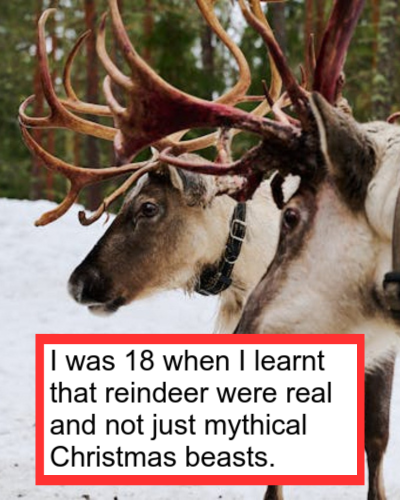 People have been sharing the ‘common knowledge’ things they didn’t learn ’til so much later in life – 17 eye-openingly belated epiphanies