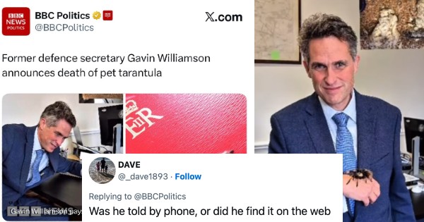 The BBC reported on Gavin Williamson’s pet tarantula dying – 20 people treating the tragedy with all the solemnity it deserves
