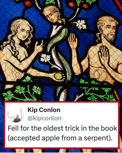 Our 25 Favourite Funny Tweets of the Week