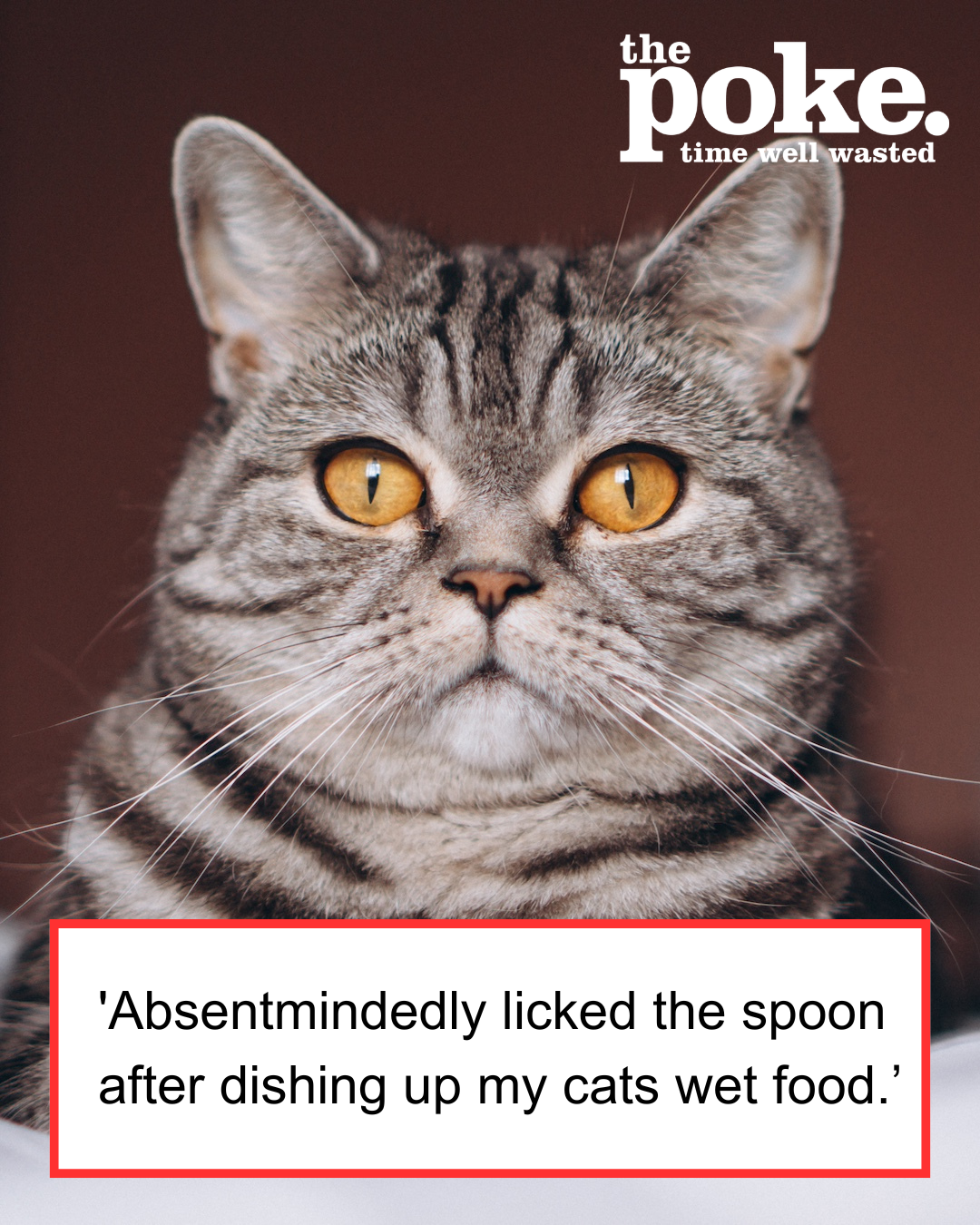 People shared the most mortifying things their brains ever d