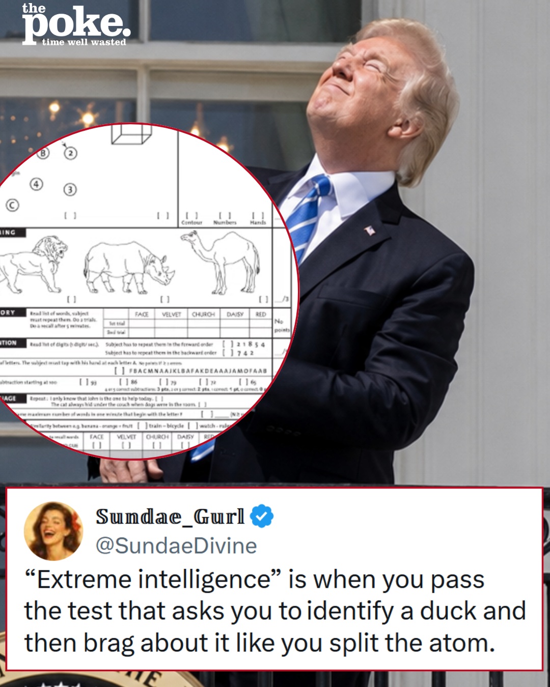 Donald Trump tried to convince everyone that his four cognitive tests prove he has ‘extreme intelligence’, but reality begged to differ – 21 clapbacks