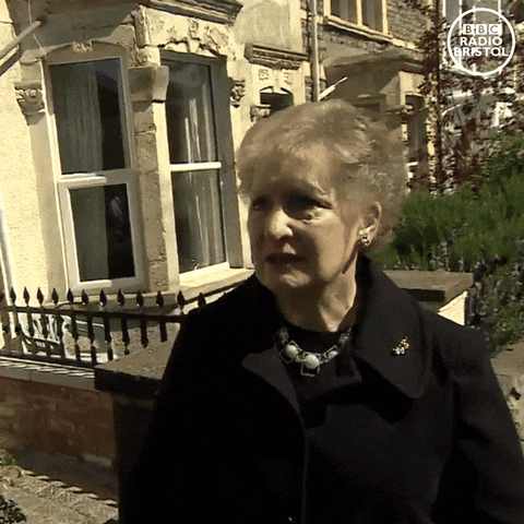 Brenda from Bristol reacting to the news of another general election with the words 'Not another one'