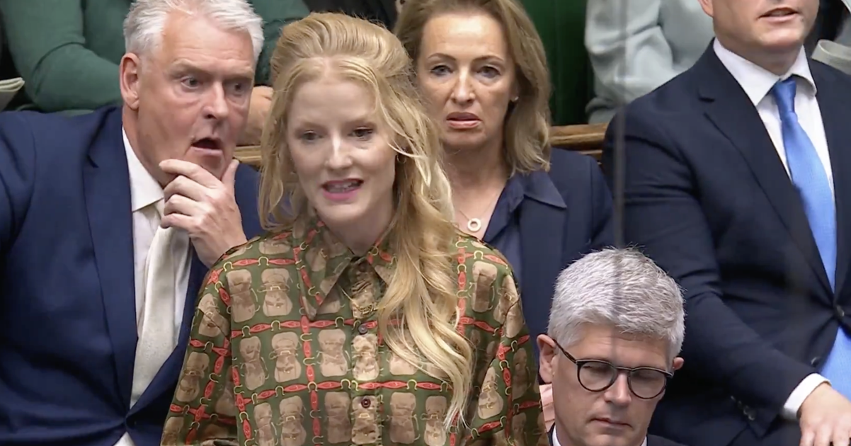 Green MP Hannah Spencer’s two-word takedown of Nig