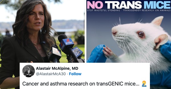 The Poke on Nancy Mace's 'transgender mice' post