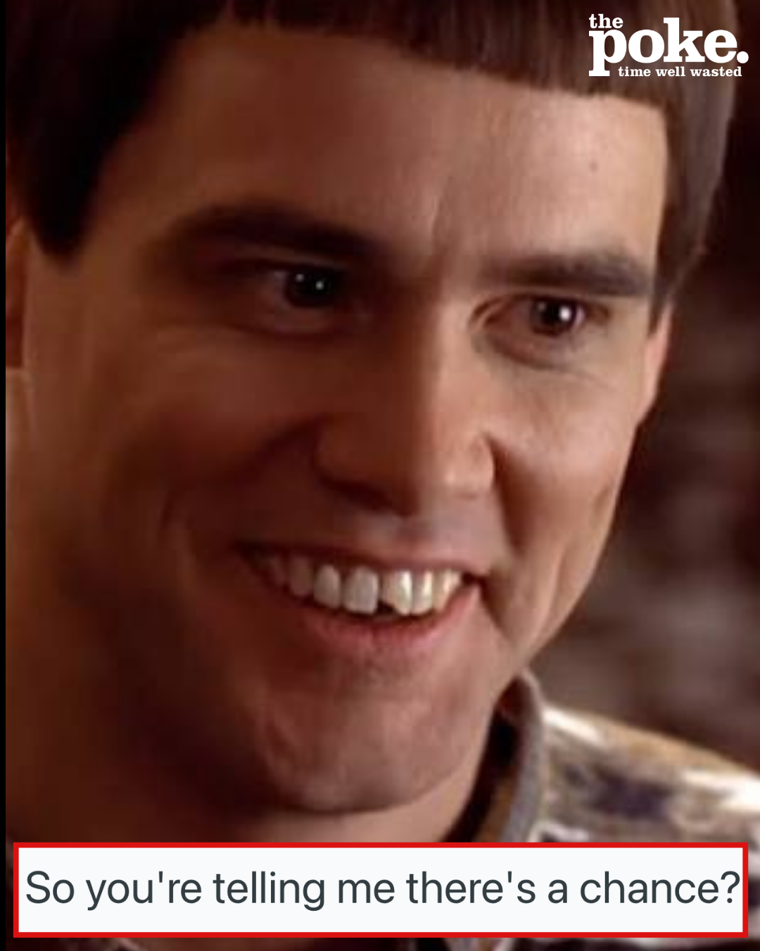 People shared the movie quotes they still use in r