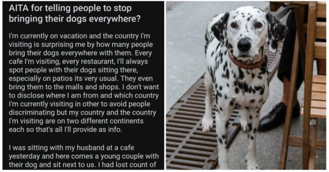 People voted this obnoxious, dog-hating tourist to be ‘the asshole’, and we can’t argue with that decision