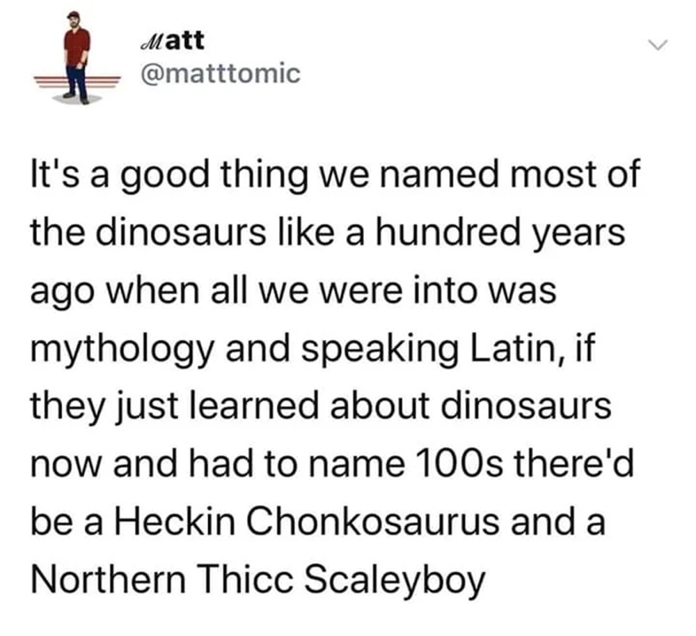 @matttomic
It's a good thing we named most of the dinosaurs like a hundred years ago when all we were into was mythology and speaking Latin, if they just learned about dinosaurs now and had to name 100s there'd be a Heckin Chonkosaurus and a Northern Thicc Scaleyboy