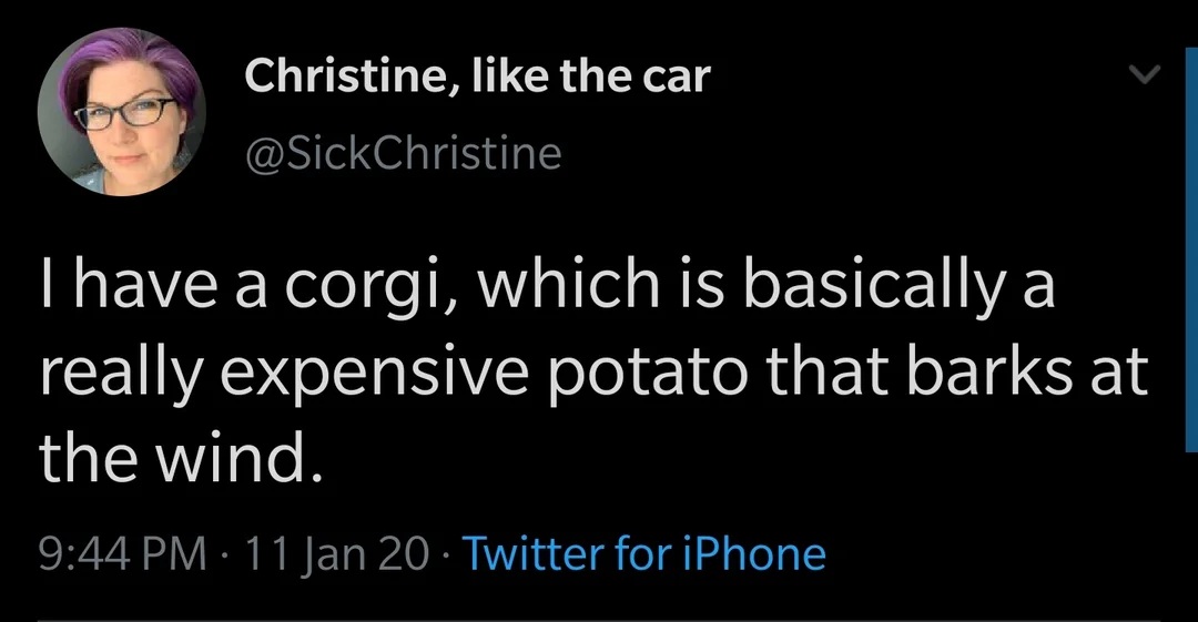 @SickChristine
I have a corgi, which is basically a really expensive potato that barks at the wind.