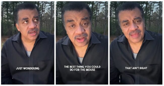 Neil deGrasse Tyson’s tip for vegetarians who find a mouse in the house might not be a winner with everyone