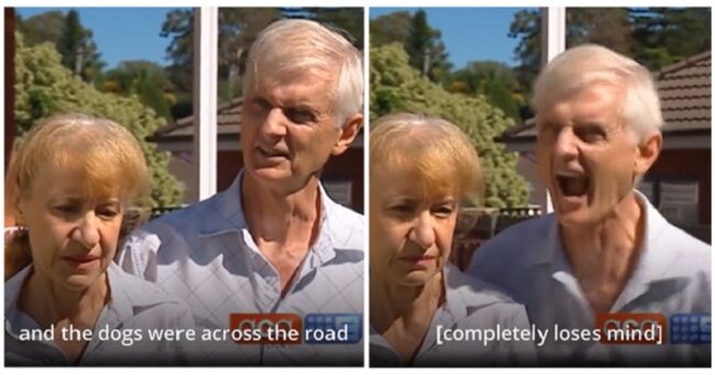 This guy’s mad dog impression in a 2010 viral interview is still one of the funniest things to come out of Australia