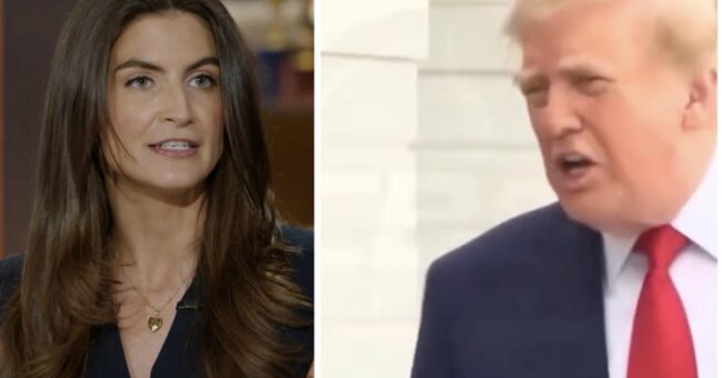 Donald Trump’s frantically furious response to CNN’s Kaitlan Collins said so much more about him than he intended