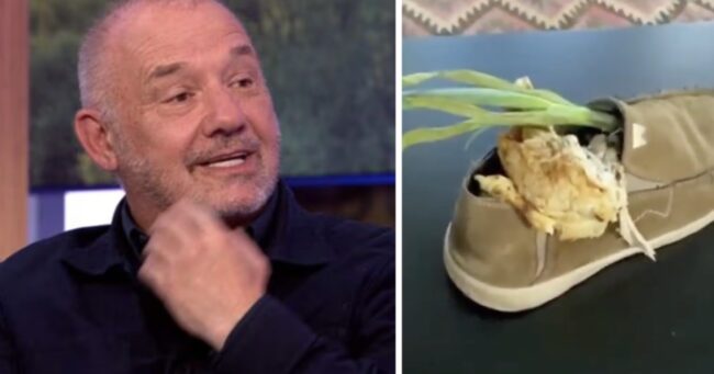 Bob Mortimer’s been plugging his new book on Twitter along with a ‘catering slipper’ and it’s pure Mortimer magic