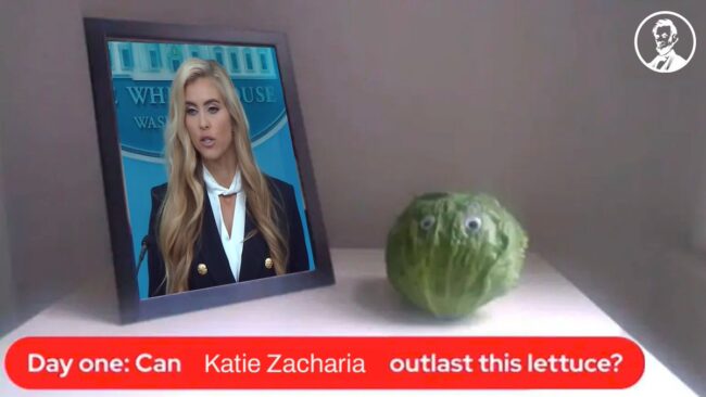 Americans have adopted the Liz Truss lettuce to troll Trump’s new press secretary and these proud Brits surely speak for the entire nation