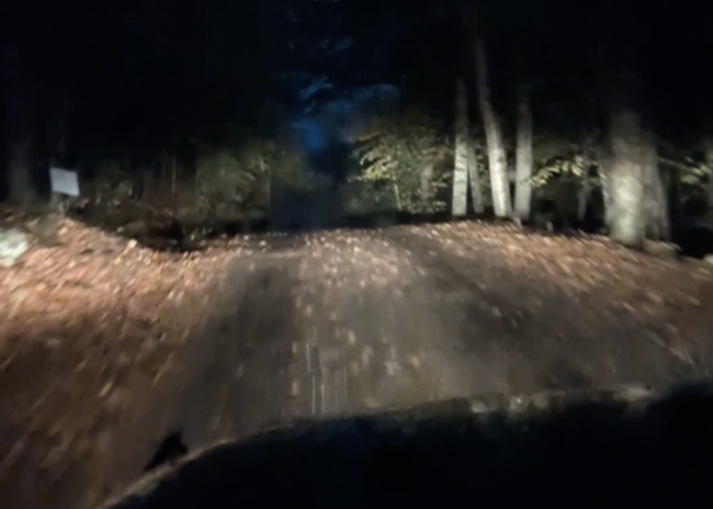 An American said Europeans ‘couldn’t comprehend’ driving down a wooded country lane like this and these Europeans were only too happy to help