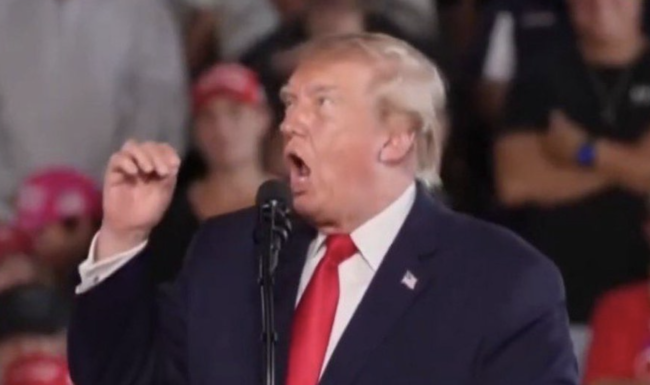 You won’t find a funnier 4 seconds that sums up the state of Donald Trump’s presidency right now