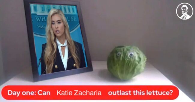 Katie Zacharia’s first appearance as White House Press Secretary was so eye-wateringly bad, they’ve already started the lettuce countdown