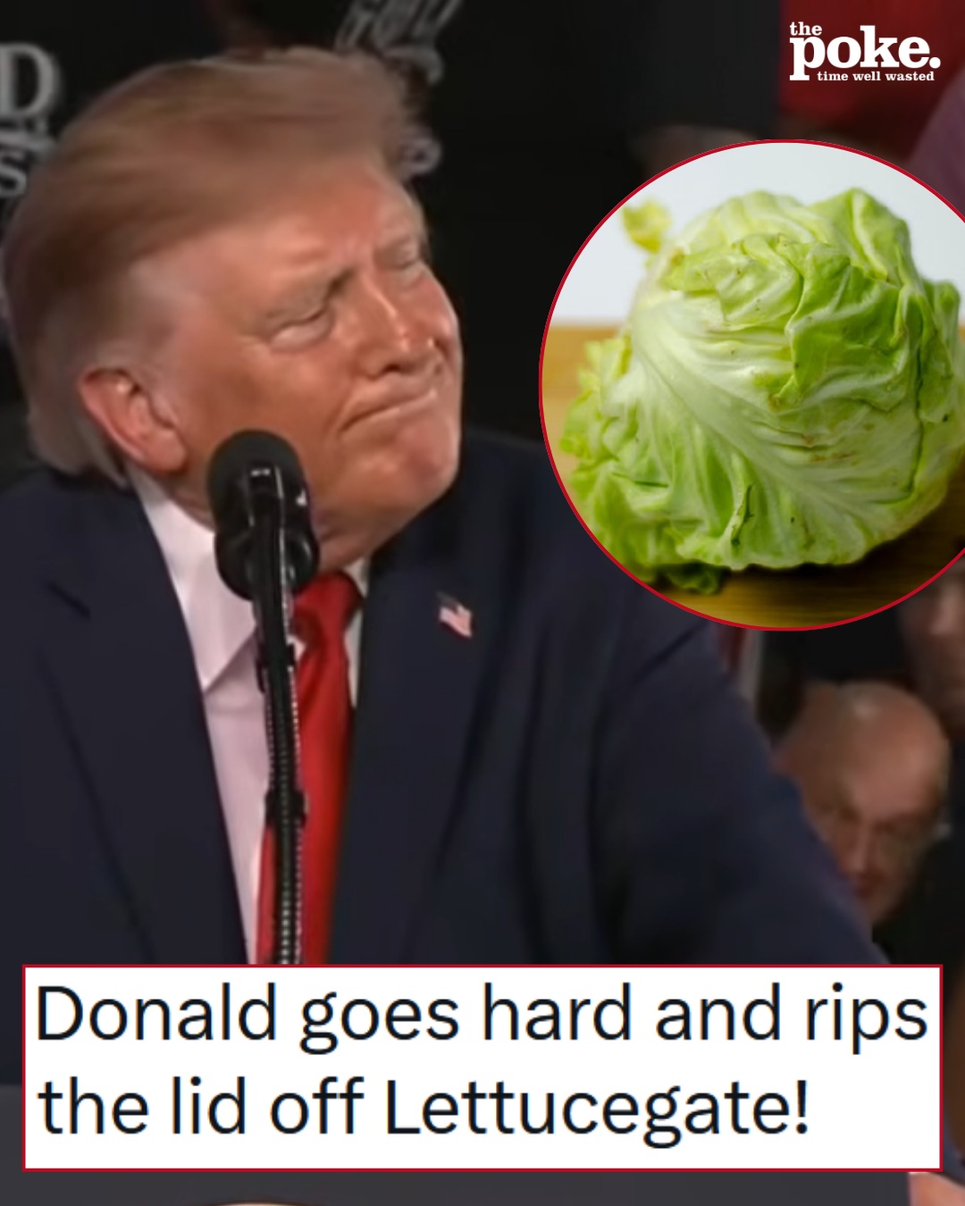 ‘Every piece of lettuce he eats has to be perfect' wasn't the stinging takedown of Barack Obama that Trump seemed to think – 15 people who think he should just leaf it alone