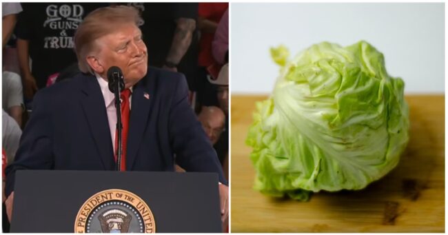 ‘Every piece of lettuce he eats has to be perfect’ wasn’t the stinging takedown of Barack Obama that Trump seemed to think – 15 people who think he should just leaf it alone